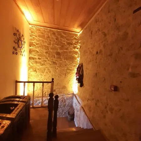 Merlara